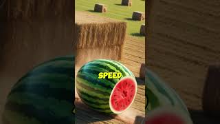 Watermelon Heist shorts youtubeshort [upl. by Morez]