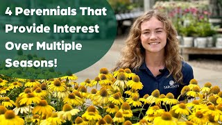 4 Perennials That Provide Interest Over Multiple Seasons [upl. by Aramat]