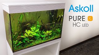 Il mio Nuovo PURE XL LED HC di Askoll [upl. by Neenwahs]