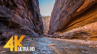 The Narrows  Virtual Hike in the Zion National Park in 4K Ultra HD with Nature Sounds [upl. by Retnuh]