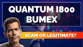 Quantum i800 Bumex Review 2024 What Are the 🤔 Opinions on This Automatic Trading Platform 💸 [upl. by Geithner23]