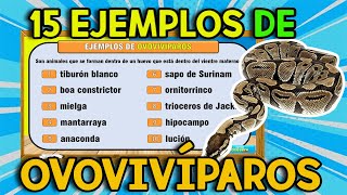 20 EJEMPLOS DE Animales OVOVIVÍPAROS [upl. by Ahsieyt84]