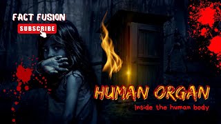 Scary Facts about Human☠ [upl. by Os]