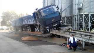 Truck unloads grains on the ramp грузовик МАЗ высыпает зерна на рампе [upl. by Aveer771]