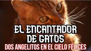 El Encantador de Gatos  Episode 1 [upl. by Nylrehc654]