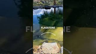 How to make Natural Pool bottom soft 💦 naturalpool flagstone poolparty ponds transformation [upl. by Haldes]