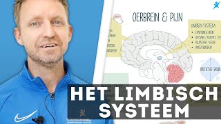 Het limbisch systeem  oerbrein en pijn [upl. by Canica]