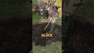 Gartenarbeit 💪🪴 kleingarten schrebergarten garten gartenarbeit YouTubeCreatorCommunity [upl. by Fruin]