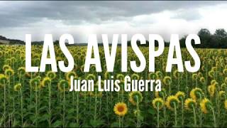 Las Avispas  Juan Luis Guerra Letra [upl. by Healy]