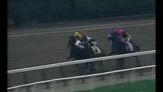 Fusaichi Pegasus  Jerome Handicap Gr2 [upl. by Os982]