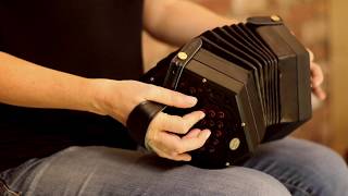 The Phoenix Concertina [upl. by Sayer]