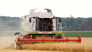 MOISSON DE BLÉ 2024  Class Lexion 540 [upl. by Skylar]