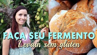 FERMENTO NATURAL LEVAIN sem glúten  O Guia mais completo da massa madre [upl. by Fowler]