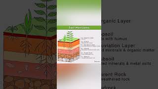 soil profile model [upl. by Aivila464]