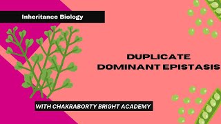 Duplicate Dominant Epistasis [upl. by Rhpotsirhc]