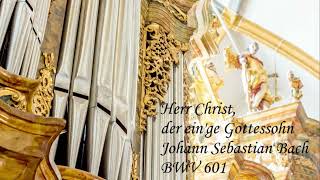 J S Bach  Herr Christ der einge Gottessohn BWV 601  GrandOrgue  Virtual Pipe Organ Software [upl. by Ennahtur]