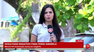 Resultado negativo para febre amarela em macaco encontrado morto em Varginha [upl. by Daryn]