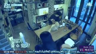 هيوري مبيت وإفطار الجزء 2 الحلقة الاولى [upl. by Aniar699]