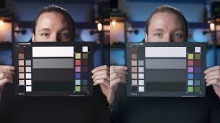 Best LUT for Beginners  Leeming vs FilmConvert vs Buttery [upl. by Porcia]