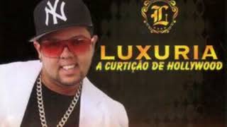 neto lx banda luxuria as mais tocadas Dalmo 1 danado [upl. by Ateikan]