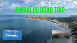 Road Trip Western Australia  Fishing and camping at Ningaloo Station  Winderbandi Point [upl. by Ahgiel]