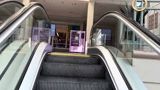 Schindler Center Court Escalators  Cottonwood Mall  Albuquerque NM [upl. by Danialah]