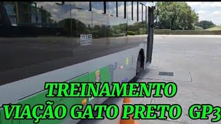 TREINAMENTO VIAÇÃO GATO PRETO GP3 [upl. by Naman702]