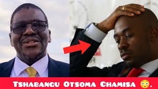 Zanu PFs Plan To Frustrate Nelson Chamisa 😳 [upl. by Saxena109]