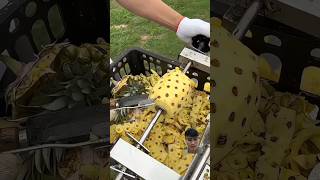 How to peel a pineapple in a sec food peeling amazing viralvideo [upl. by Akcirderf454]