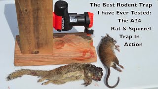 Shawn Woods Review A Rat amp Squirrel Killing Machine The CO2 Gas Powered A24 Trap In Action [upl. by Aihtiekal89]