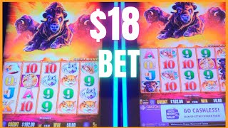 High Limit Buffalo Gold 102 Slot Challenge  Graton Casino [upl. by Kolnick]