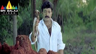 Gorintaku Movie Rajasekhar Meera Jasmine Scene  Rajasekhar Aarti Agarwal  Sri Balaji Video [upl. by Nalyak]