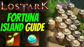 LOST ARK  FORTUNA ISLAND TOKEN Guide [upl. by Mouldon]