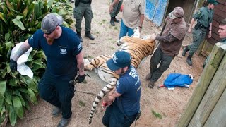 Dangerous Roadside Zoo Rescue [upl. by Ewell]