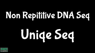 Non Repititive DNA Sequence  Unique DNA sequences  Single Copy Sequences [upl. by Aphrodite]