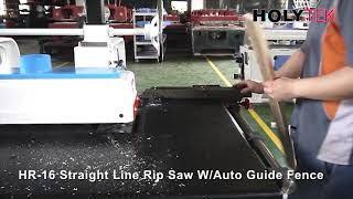 Straight Line Rip Saw HOLYTEK [upl. by Rambow594]