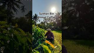 ARABICA COFFEE SULTHAN BIN AHMAD 1 ST ANNIVERSARY [upl. by Nelyahs]