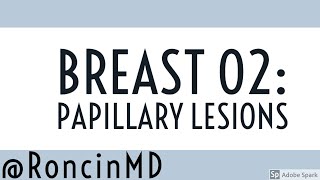 Slide Review Breast 02  Papillary Lesions [upl. by Danforth]