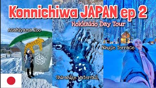 Konnichiwa JAPAN ep 2  Asahiyama Zoo Shirahige Waterfall amp Ningle Terrace HOKKAIDO tour JAN 2023 [upl. by Etienne]