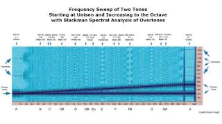 Octave Frequency Sweep Consonance amp Dissonance  A220 Sine Wave [upl. by Kerman672]