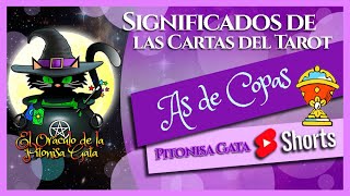 🏆AS DE COPAS🌸Significado de las cartas del TAROT🧙‍♂️ ARCANOS MENORES😺 [upl. by Donalt]