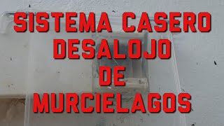 Sistema casero desalojo de murcielagos [upl. by Nador]