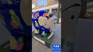 🐘 Quick  Elmers in Doncaster 🐘 12 to find shorts doncaster elmer fun [upl. by Aysab]