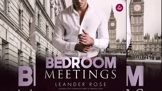 Bedroom Meetings Liebesroman Hörbuch Romanze [upl. by Jaunita776]