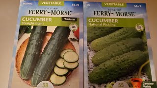 Growing Cucumber Seeds Ferry Morse Ferry Morse seeds Cucumber seeds Growing [upl. by Medarda]