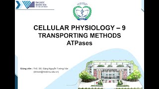 Sinh lý tế bào  Phương thức vận chuyển qua màng  Bơm ATPase [upl. by Yerrok]