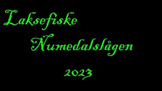 Laksefiske Numedalslågen 2023 [upl. by Hoeve]