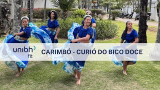 CARIMBÓ  Curió do Bico Doce  UNIBHFIT  Coreografia Dance Vídeo [upl. by Allemahs]