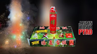 Dragon’s Fortune Fountain by Dragon Fireworks  New Year 2023 Philippines [upl. by Dorothee]