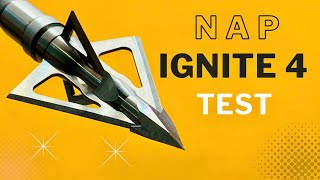 NAP IGNITE 4 Broadhead Test [upl. by Messing274]